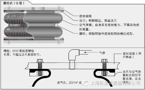 草莓视频APP黄下载的选择使用指南